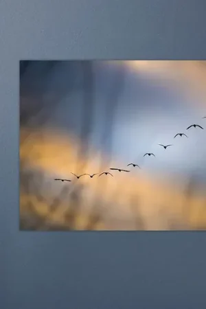 Winter is Coming van Erik de Klerck