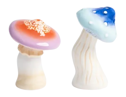 &k amsterdam Magic Mushroom Peper- en Zoutmolen