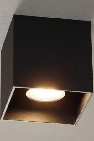 WEVER & DUCRÉ Box 1.0 PAR16 plafondlamp zwart