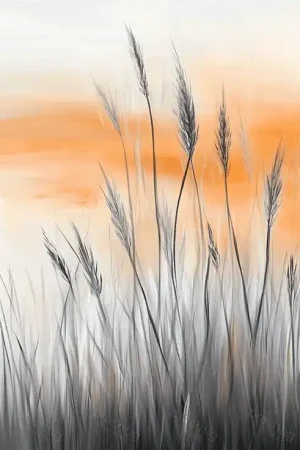 Zonsondergang in Rietveld
