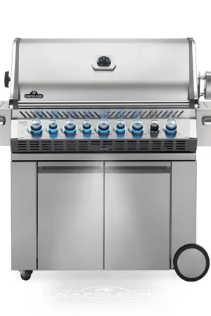 Napoleon Prestige PRO™ 665 RSIB